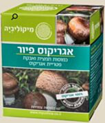 Mycolivia מיקוליביה Agaricus Pure - אגריקוס פיור | Mycolivia מיקוליביה 