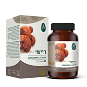 כמוסות ריישי Ganoderma lucidum | ברא צמחים