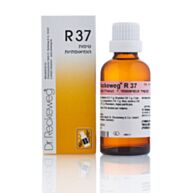 Dr. Reckweg ד"ר רקבג R37 בייסיק טיפות הומיאופתיות | Dr. Reckweg ד"ר רקבג 